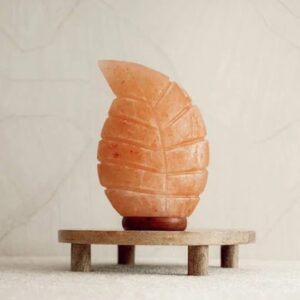 Himalaya Zoutlamp Bladvorm